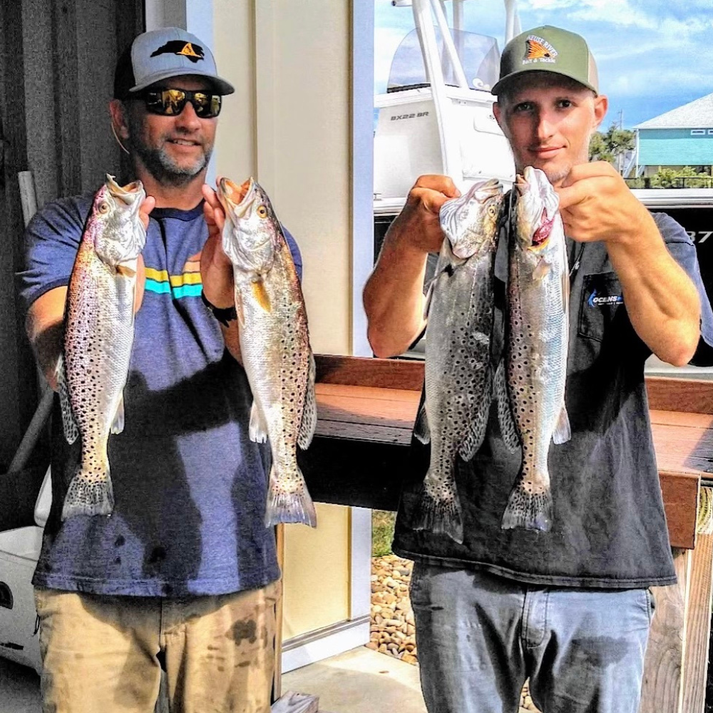 Registration – Fish Against Addiction